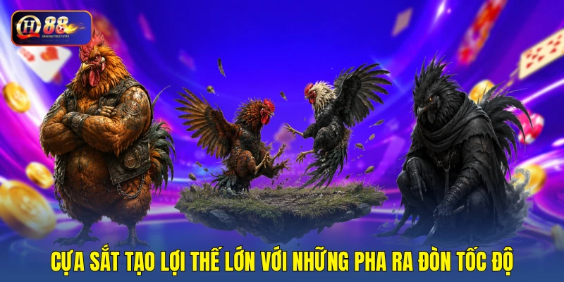 Cựa sắt tạo lợi thế lớn với những pha ra đòn tốc độ