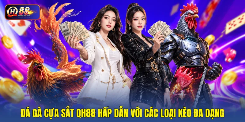 Đá gà cựa sắt QH88 hấp dẫn với các loại kèo đa dạng