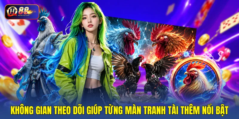 Không gian theo dõi giúp từng màn tranh tài thêm nổi bật
