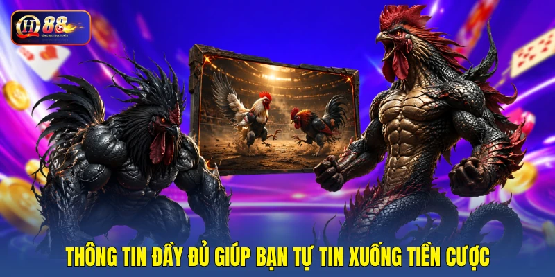 Thông tin đầy đủ giúp bạn tự tin xuống tiền cược