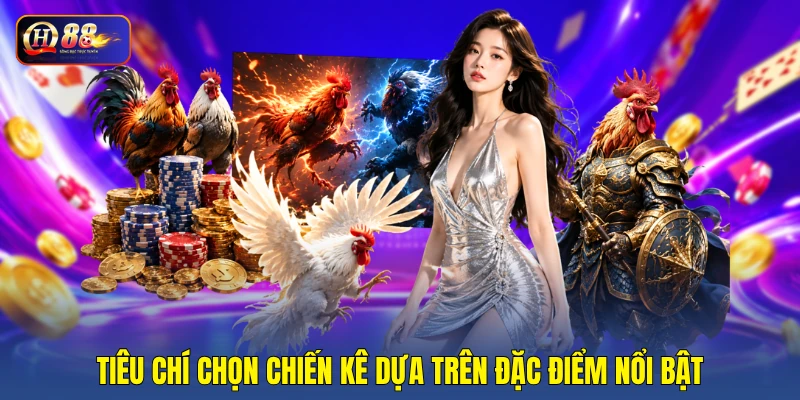 Tiêu chí chọn chiến kê dựa trên đặc điểm nổi bật